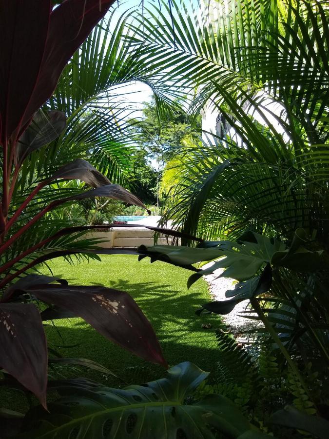 Palm Beach Inn Playa Grande Eksteriør billede